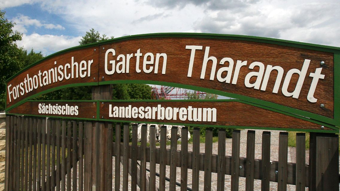 Der Forstbotanische Garten wurde 1811 von dem Forscher Johann Heinrich Cotta angelegt - heute gibt es dort fast 2000 Arten von Gehölzen zu besichtigen.