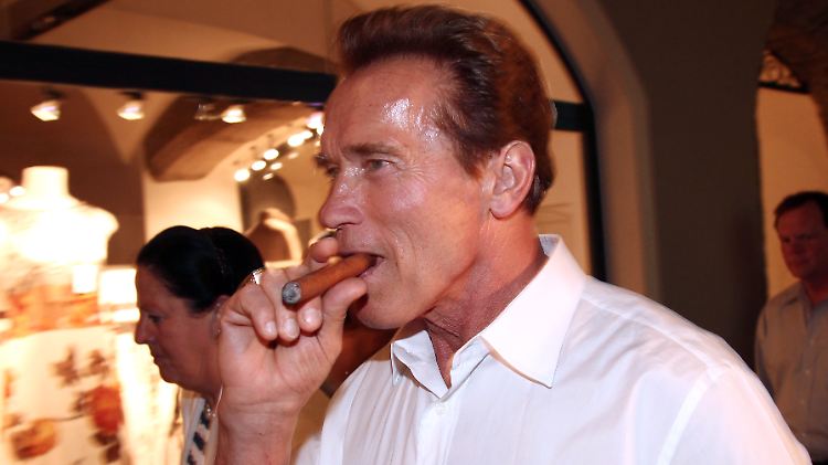 Arnold Schwarzenegger wechselt das Metier.