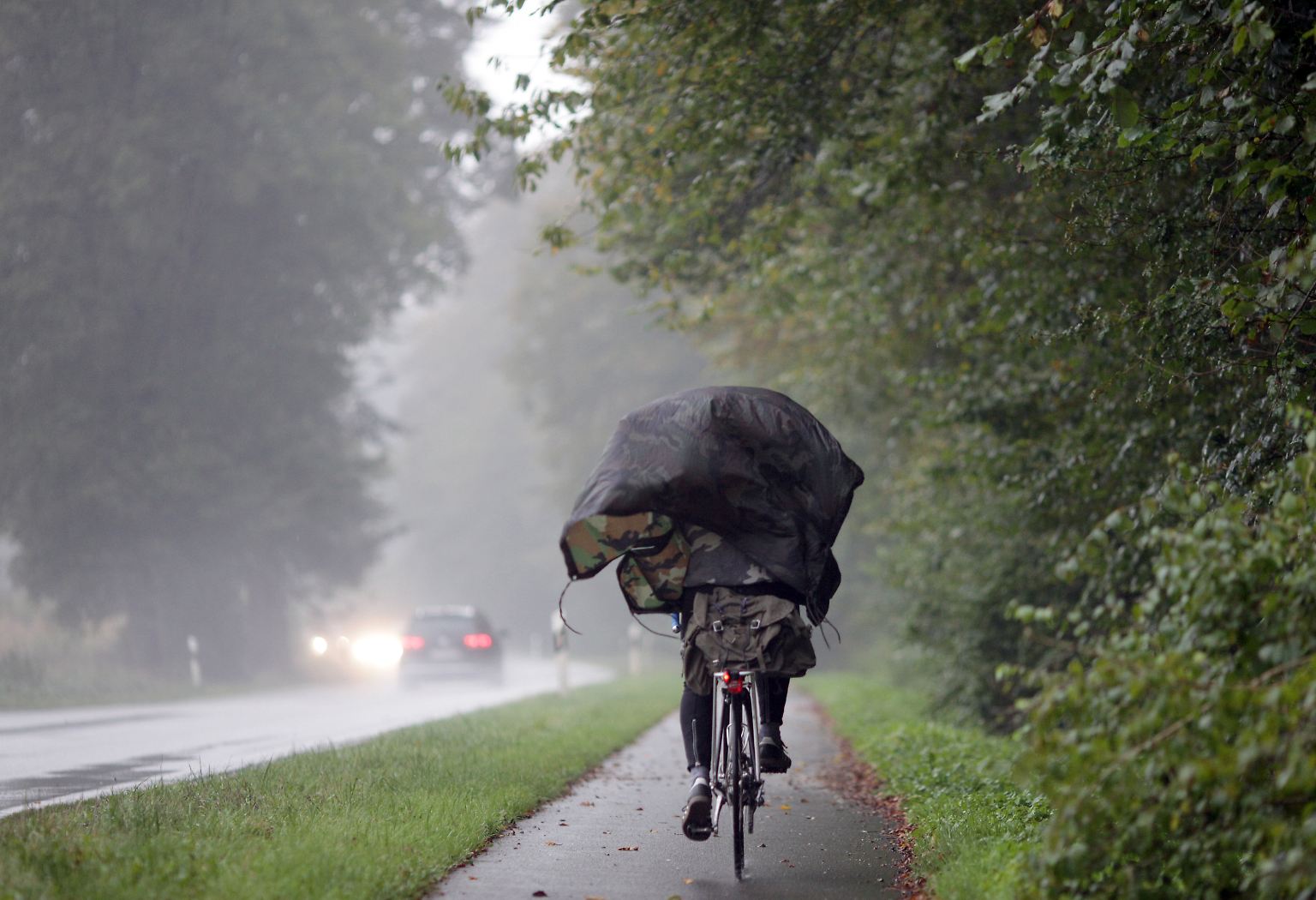 Regen, Sturm und Nebel: Nach dem goldenen Herbstanfang zeigt sich der Spätherbst oft von seiner ungemütlichen Seite. 