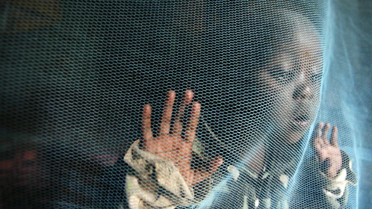Kinder werden in Afrika mit Moskitonetzen vor Malaria-Mücken geschützt.