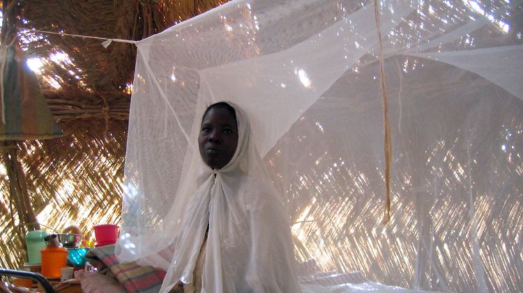 Nach WHO-Angaben wurden die Malaria-Infektionen dank präparierter Moskitonetze und durch Versprühen von Anti-Malariasubstanzen in den letzten Jahren drastisch verringert.