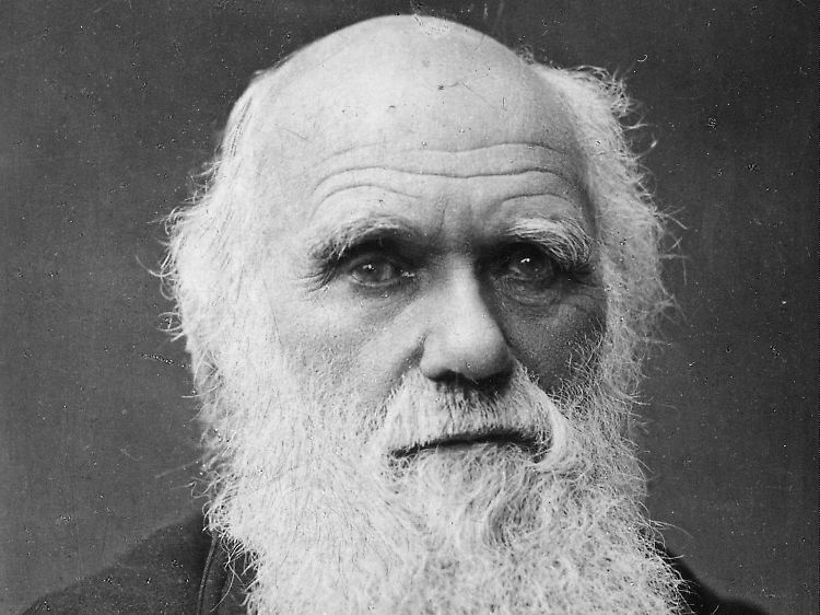 Charles Darwin.