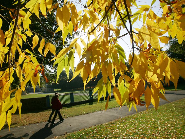 Der kalendarische Herbstbeginn ist erst gut drei Wochen nach dem meteorologischen.