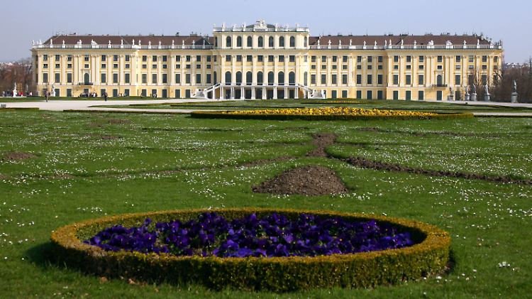 ... im Schloss Schönbrunn das Gedenkkonzert organisieren.