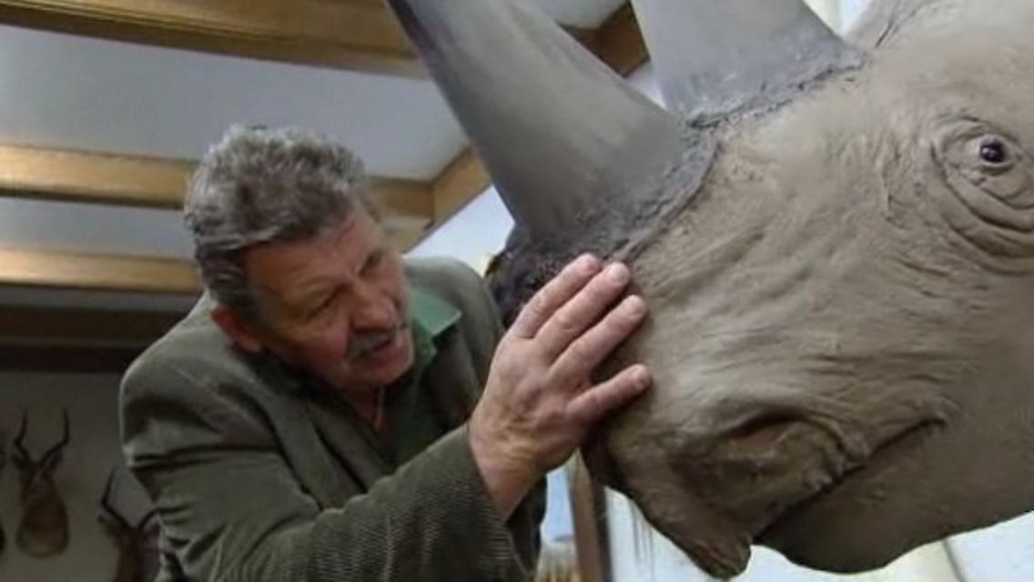 Nashorn.jpg