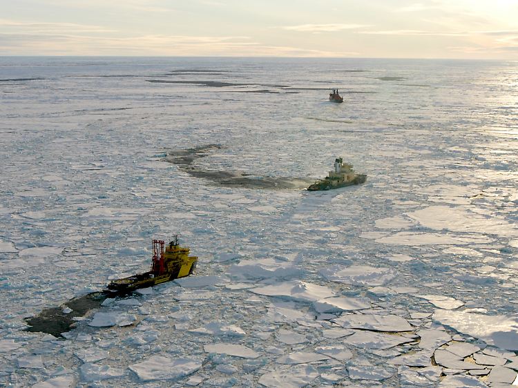 Der Rückgang des Eises steigert die Produktivität der arktischen Gewässer.