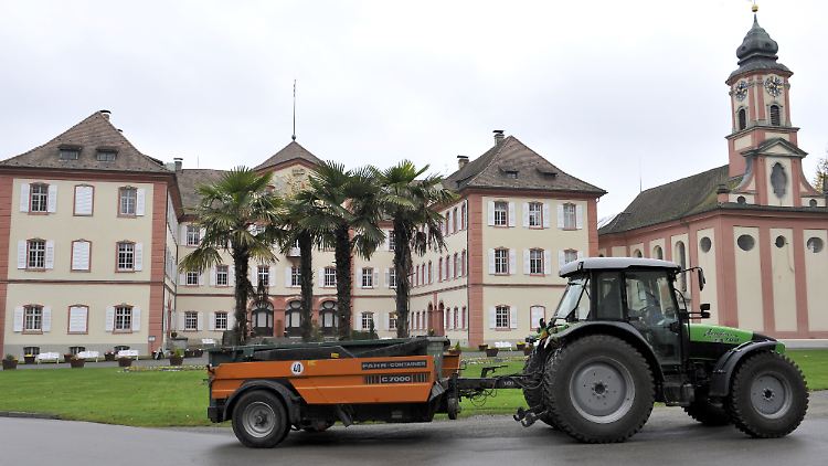 Herbst-Pflicht: Mit einem Traktor werden die Palmen auf der Bodenseeinsel Mainau ins Winterquartier gebracht. (Archivbild)