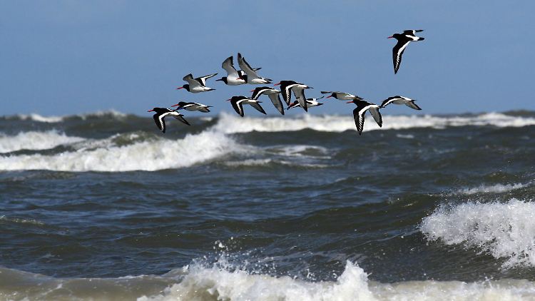 Was verbirgt sich auf dem Boden der Nordsee?