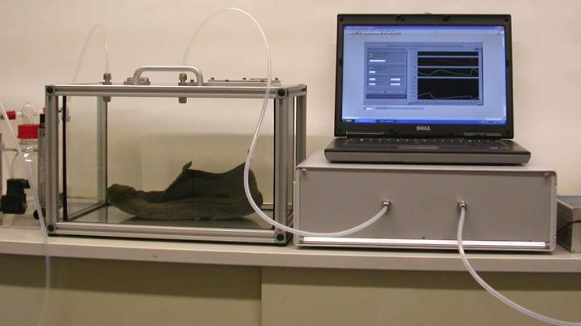 Die "Elektronische Nase" soll eine Zukunft fast ohne Schweißfüße ermöglichen.