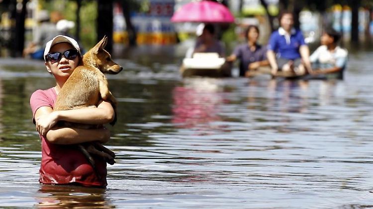 Einige Teile Bangkoks stehen bereits unter Wasser, das Geschäftszentrum ist von den Fluten bedroht. Die Sehenswürdigkeiten sind bislang aber noch zugänglich.