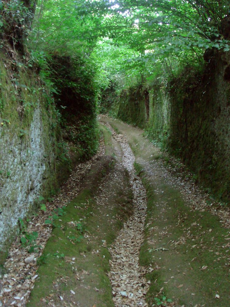 Tief in das Tuffgestein eingeschnittene Hohlwege findet man in der südlichen Toskana. Die "Vie Cave" der Etrusker sind bis heute ein Geheimnis.