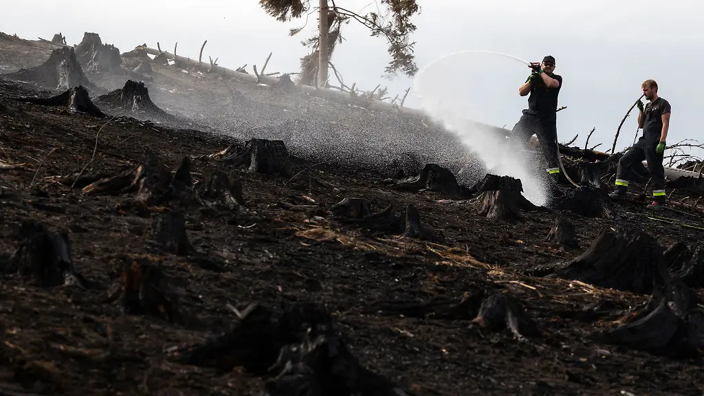 Nach-und-nach-wird-die-Anzahl-der-Einsatzkraefte-beim-Waldbrand-auf-der-Saalfelder-Hoehe-reduziert