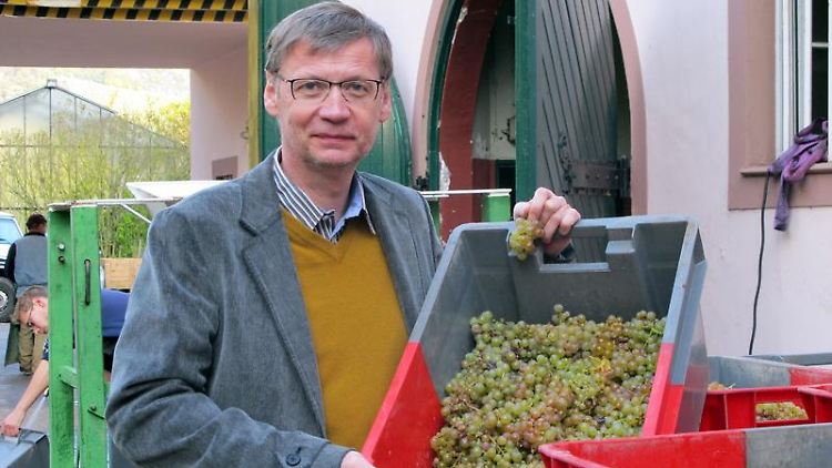 Der witzige Winzer - Jauch ist unrasiert, aber glücklich. 