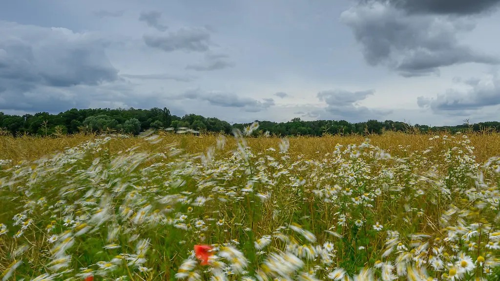 Schauer-bringen-in-den-naechsten-zwei-Tagen-oertlich-Regen-bis-sich-die-Sonne-ihre-Bahn-durch-die-Wolkendecke-bricht