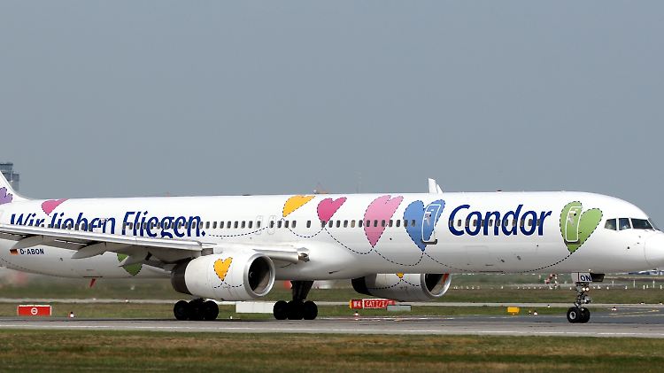condor.jpg
