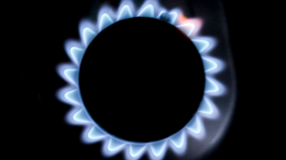 DAB0783-20111031.jpg6740255187885990072.jpg