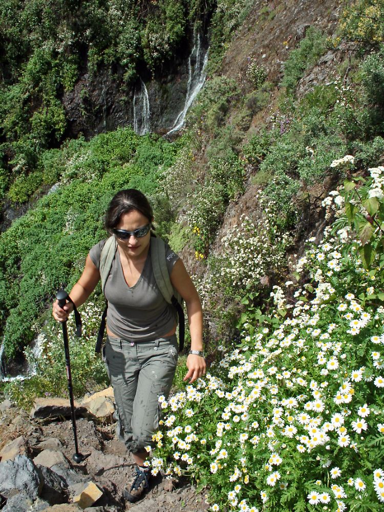 Angekommen im grünen Paradies: Die Quellen von Marcos y Cordero sind ein beliebtes Ausflugsziel auf La Palma.