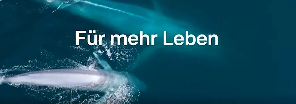 Bild zum Thema Nachhaltigkeit