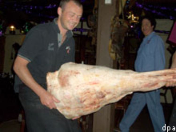 Ein Küchenmitarbeiter des "Overlanders Steakhouse" in Alice Springs mit einer 50 Kilogramm schweren Kamelkeule.