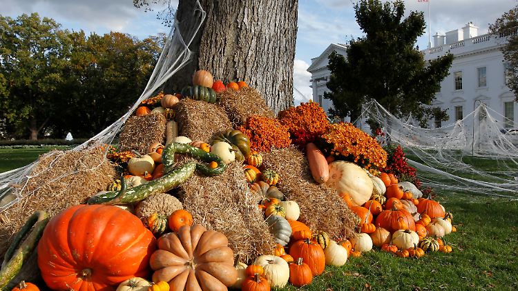 Kürbisse am North Lawn: Auch das Weiße Haus feierte Halloween.