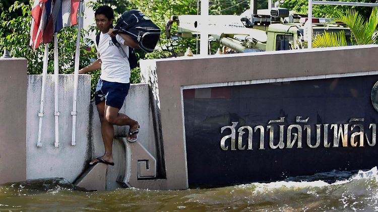 Gerücht oder Wahrheit? Schlangen könnten das Hochwasser durchstreifen.