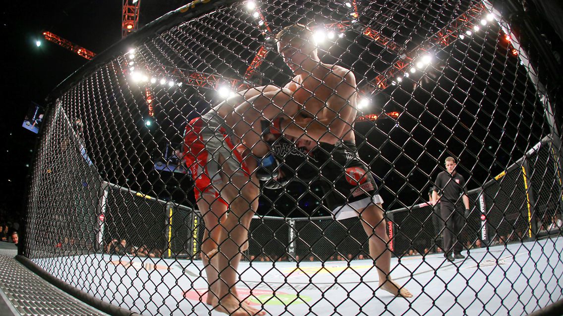 Beim "Ultimate Fighting" sind den Kämpfern nur wenig Grenzen gesetzt.