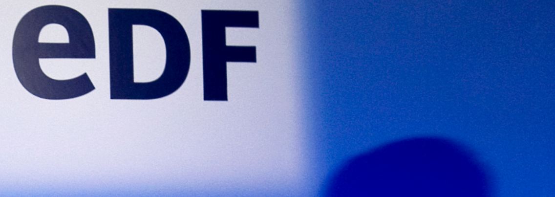 Greenpeace sprach von "Stasi-Methoden" bei der französischen EDF.