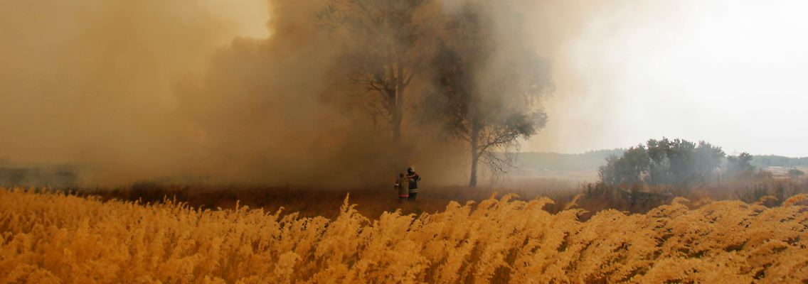 2010 war das heißeste Jahr seit Beginn der Wetteraufzeichnungen - heißer noch als der "Jahrhundertsommer" von 2003. Im Juli 2010 starben in Moskau 5000 Menschen mehr als im Vorjahresmonat.
