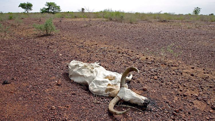 Der Klimawandel ist in der Sahel-Zone deutlich spürbar.