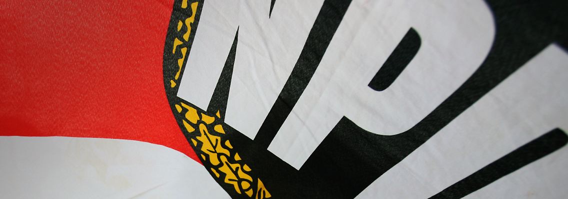 Die NPD: "Politischer Arm nach außen"?