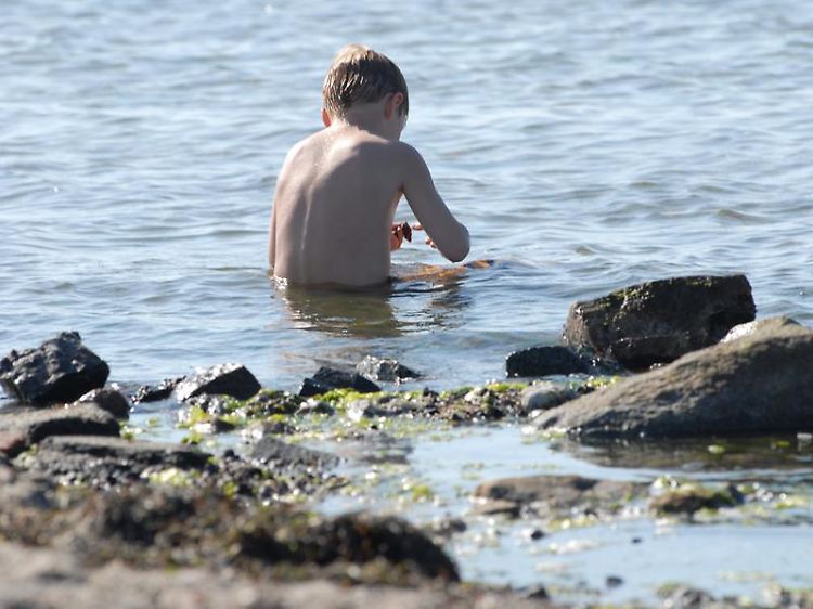 Wasserqualität der deutschen Ost- und Nordseeküste im Test: Kühlungsborn und Krummhörn sind laut ADAC durchgefallen.