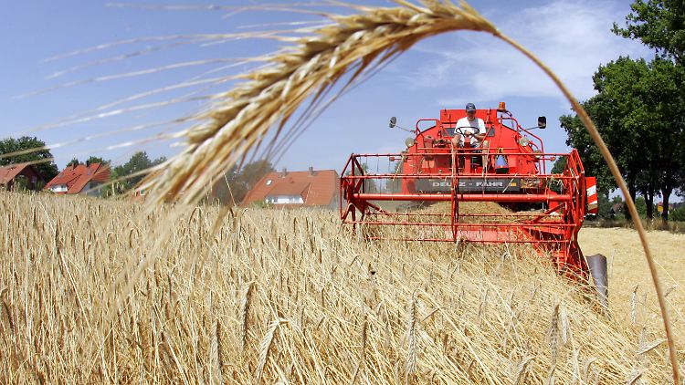Erträge sichern: Bevorraten sich die Amerikaner auf dem deutschen Markt? 
