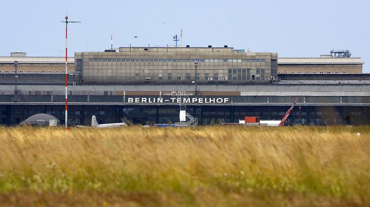 Bisher wächst auf dem Tempelhofer Feld nur Gras.