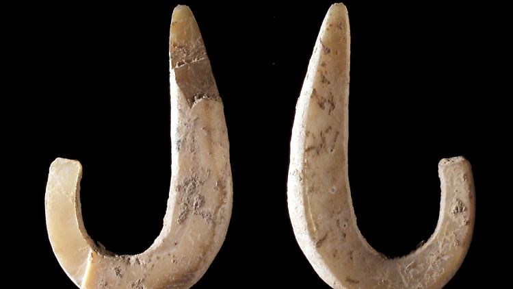 Angelhaken, der rund 11.000 Jahre vor Christi aus einer Muschelschale geschnitzt wurde.