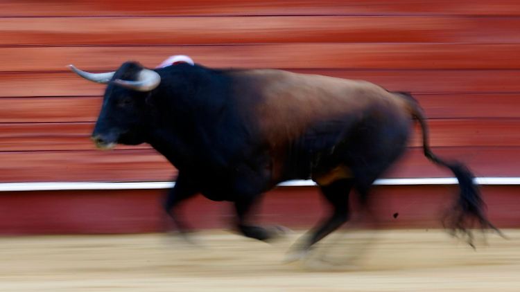 Die Bullen sind wiederauferstanden und starten durch ins Wochenende.