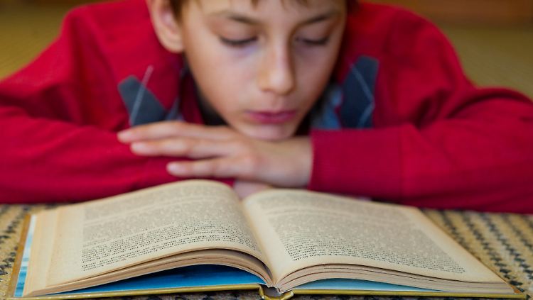 Lange Texte lesen - das überfordert mittlerweile offenbar viele Schüler.