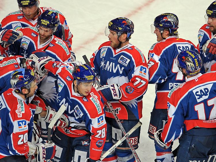 Die Adler Mannheim wollen den Eisbären in diesem Jahr gefährlich werden. Ein größeren Etat haben sie bereits.