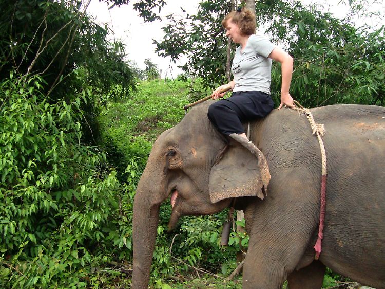 Elefantenreiten ist bei Touristen in Thailand sehr beliebt (Symbolbild).
