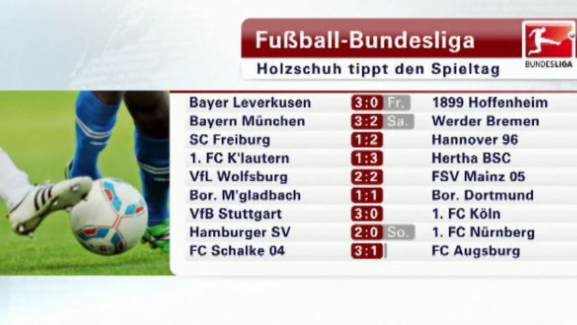 Holzschuh.jpg
