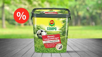 Compo-Rasendnger im Prime-Day-Angebot  letzte Chance! - ntv.de