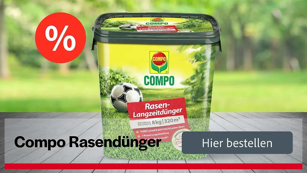 Compo-Rasendnger im Prime-Day-Angebot  letzte Chance! - ntv.de
