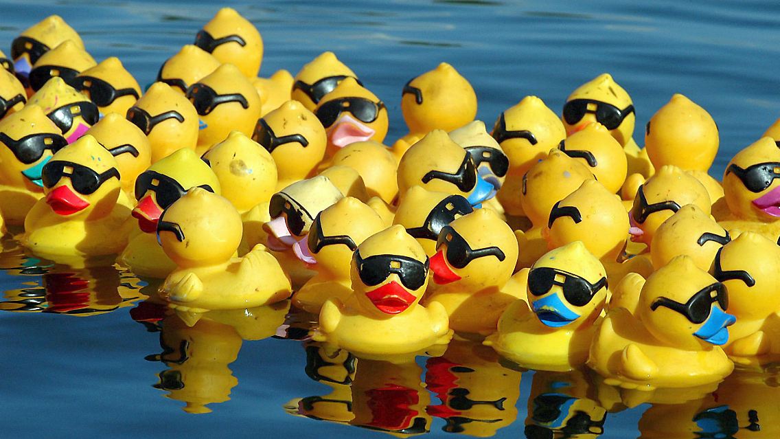 Gute Makrodaten halten die deutschen Standardwerte über Wasser.