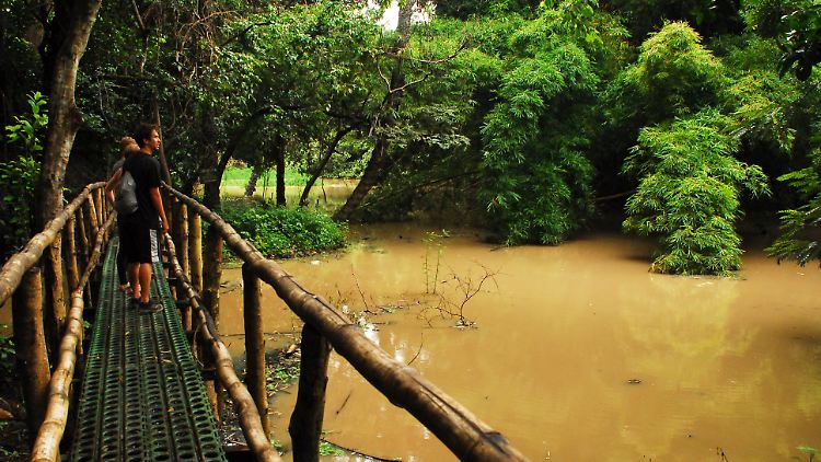 Galeriewald und Waisenhaus für hilfsbedürftige Tiere: Das Abuko Nature Reserve, eine halbe Stunde von Bakau entfernt, ist Gambias bekanntestes Naturschutzgebiet und ein großer Anziehungspunkt für Touristen.