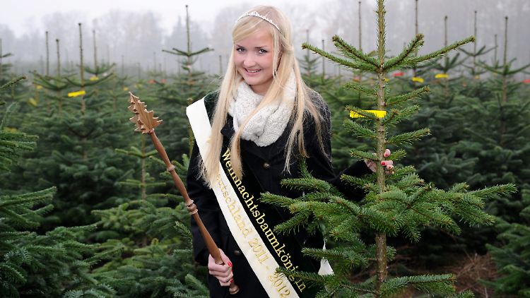 Die erste Deutsche Weihnachtsbaumkönigin hat Anfang November die Saison eröffnet.