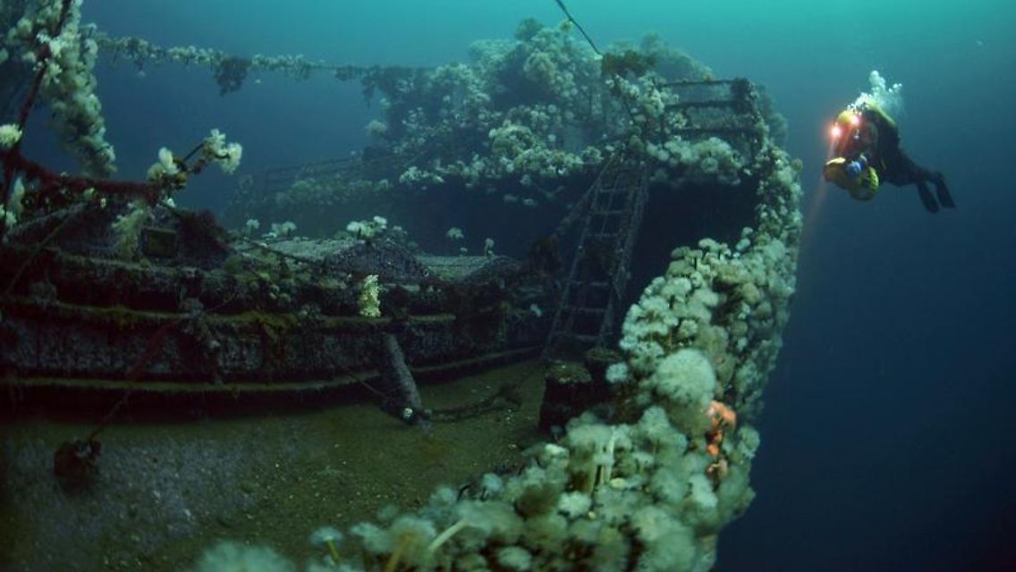 Die "Rose Castle" ist eines der vier Wracks aus dem Zweiten Weltkrieg in den Gewässern von Bell Island.