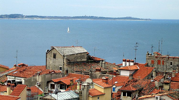 Blick auf die Bucht vom slowenischen Piran aus, dessen Häuser im Vordergrund zu sehen sind. Hinten ist die kroatische Küste der Halbinsel Istrien zu erkennen.