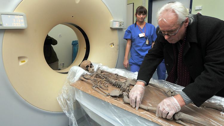 Das Museum für Naturkunde und Vorgeschichte Dessau will mehr über das Skelett wissen.