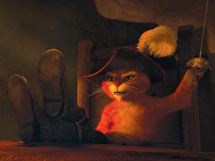 In seinem Solo ist der Kater richtig auf Zack.