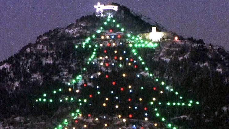 Dieser Baum war allseits willkommen. Er schmückte vor einigen Jahren den Berg oberhalb der italienischen Stadt Gubbio in der Region Umbrien.