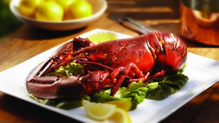 In vielen Restaurants ein Klassiker, aber kein Luxus - in Nova Scotia kommt der Hummer wie anderswo Fish und Chips auf den Teller.